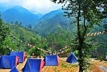 McleodGanj Camping