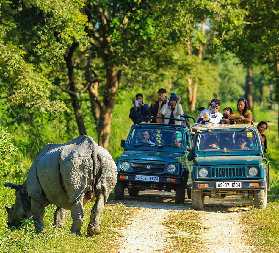 meghalaya-with-kaziranga-backpacking-trip-JustWravel-1707036967-Meghalaya-with-kaziranga-2.jpg