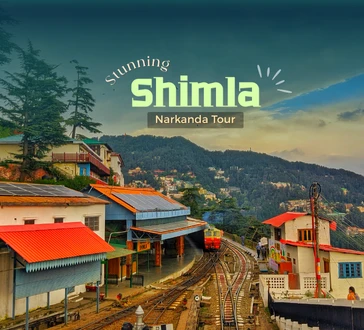 stunning-shimla-narkanda-tour-package-JustWravel-1747898508-13-Stunning-Shimla--Narkanda.png