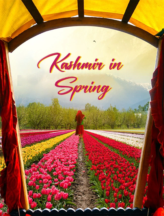 Kashmir in Spring JustWravel