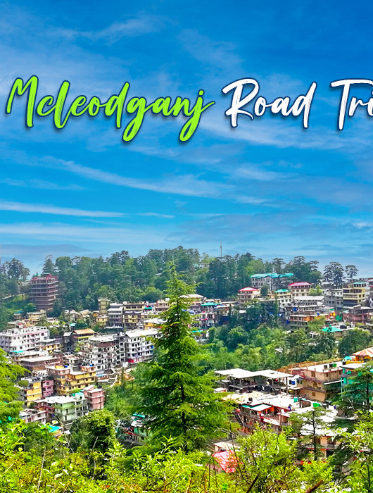 McleodGanj Road Trip - Triund Trek JustWravel