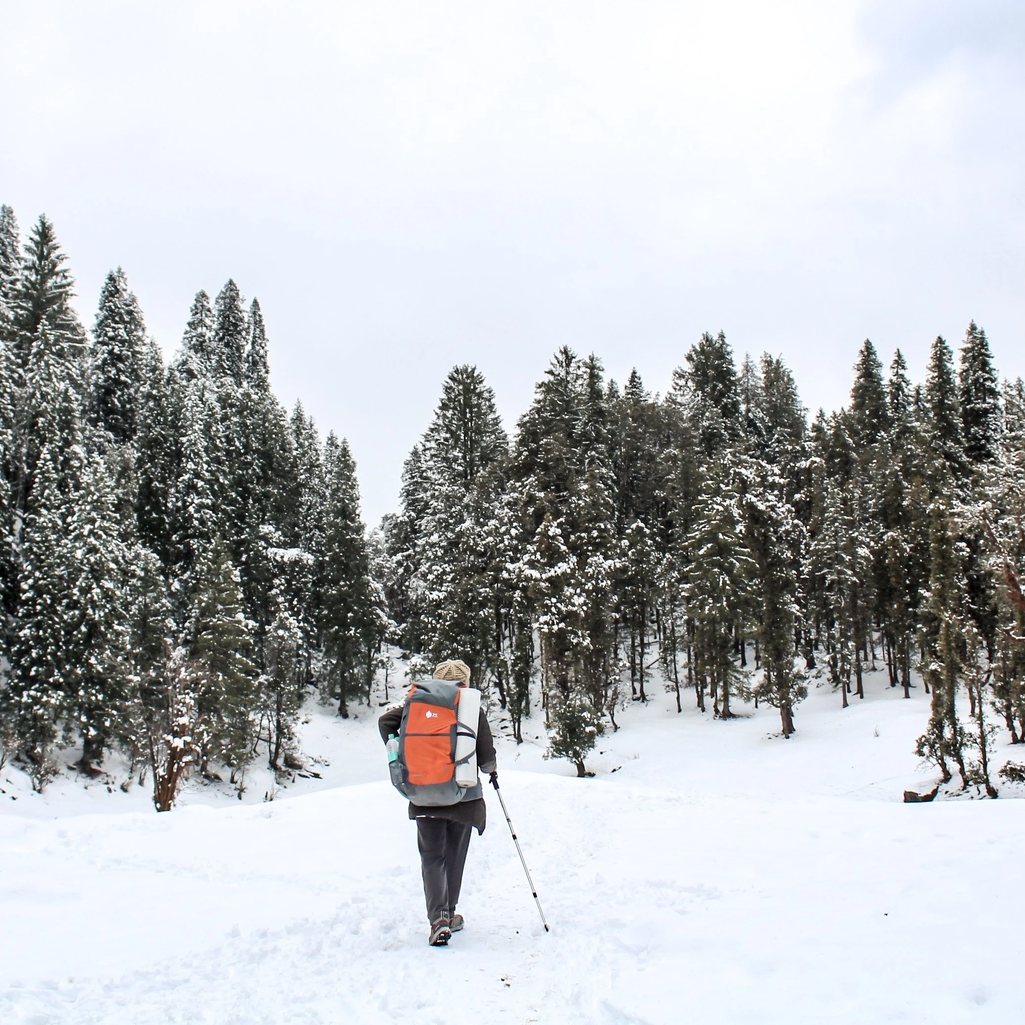 Kedarkantha Trek Christmas and New Year