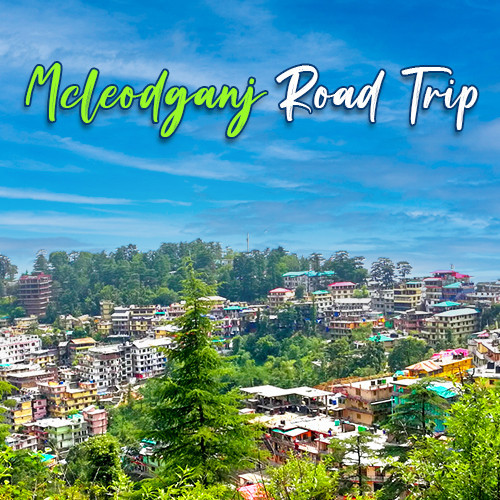 McleodGanj Road Trip - Triund Trek