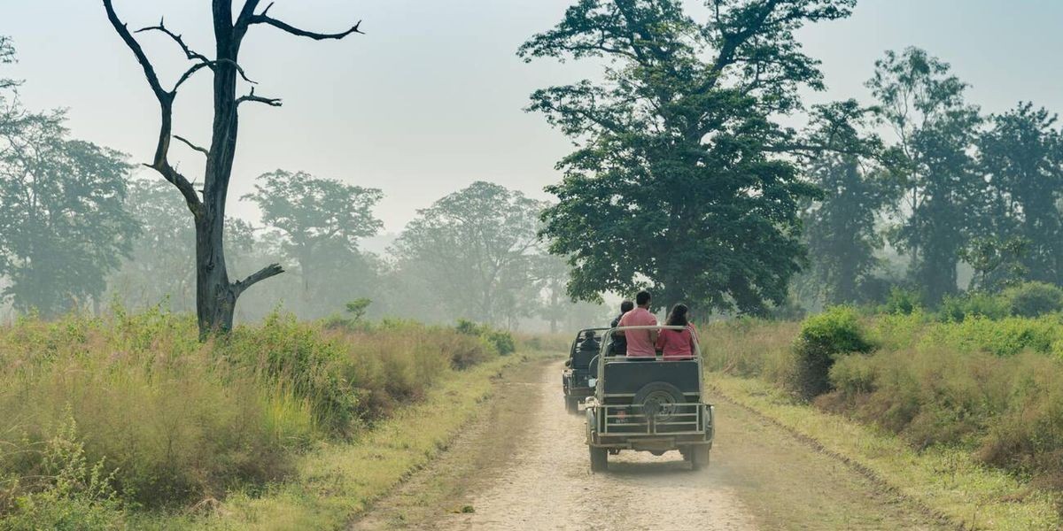 Jungle safari in Nainital