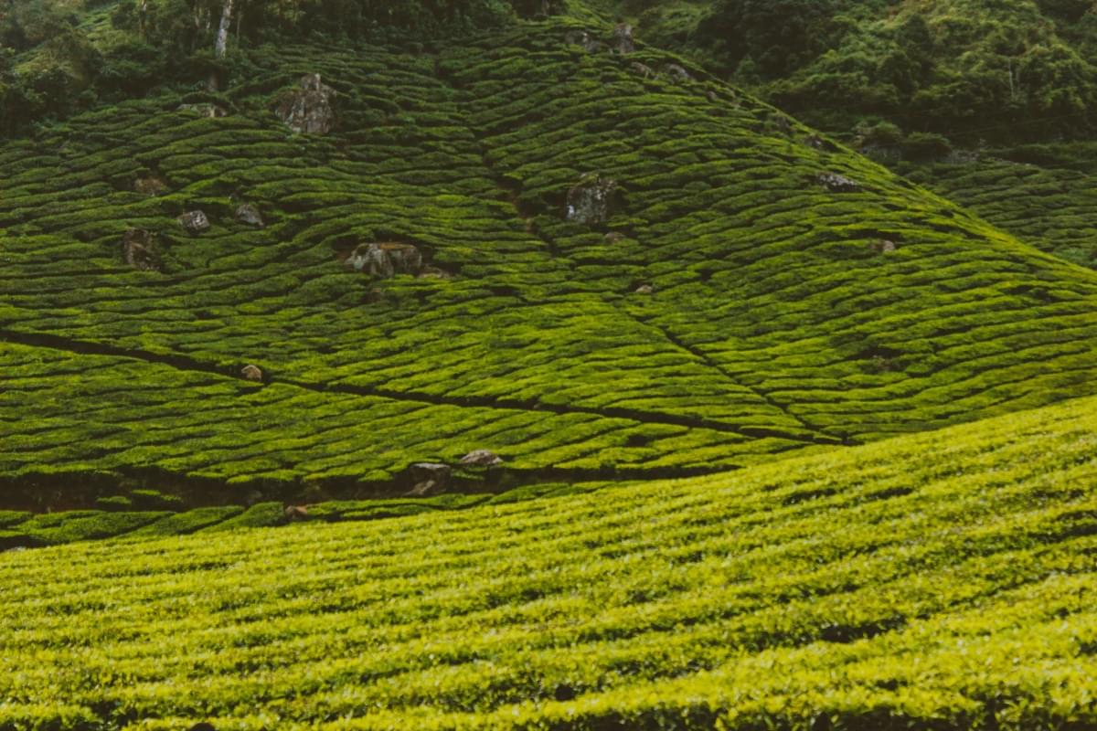 Suicide Point Coonoor