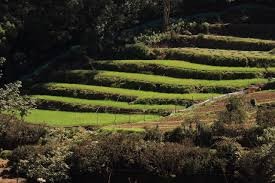 2-night-3-day-ooty-tour-package-JustWravel-1728363810-ooty.jpg