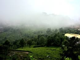 2-night-3-day-ooty-tour-package-JustWravel-1728363861-ooty-4.jpg