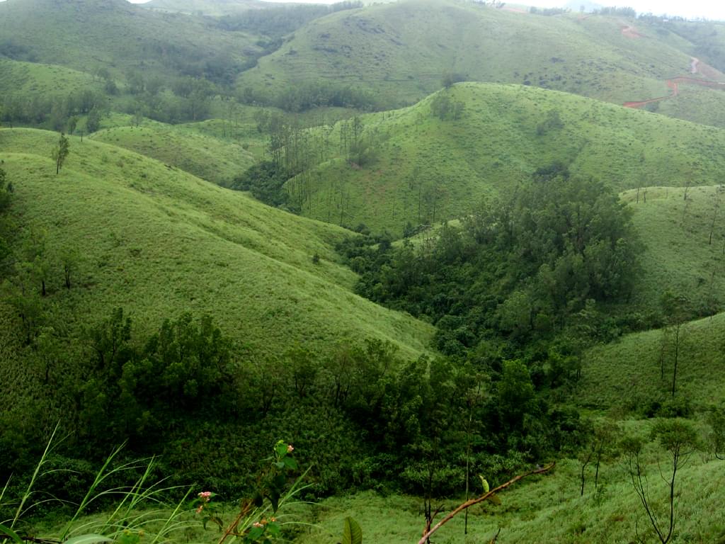 Vagamon Green Hills