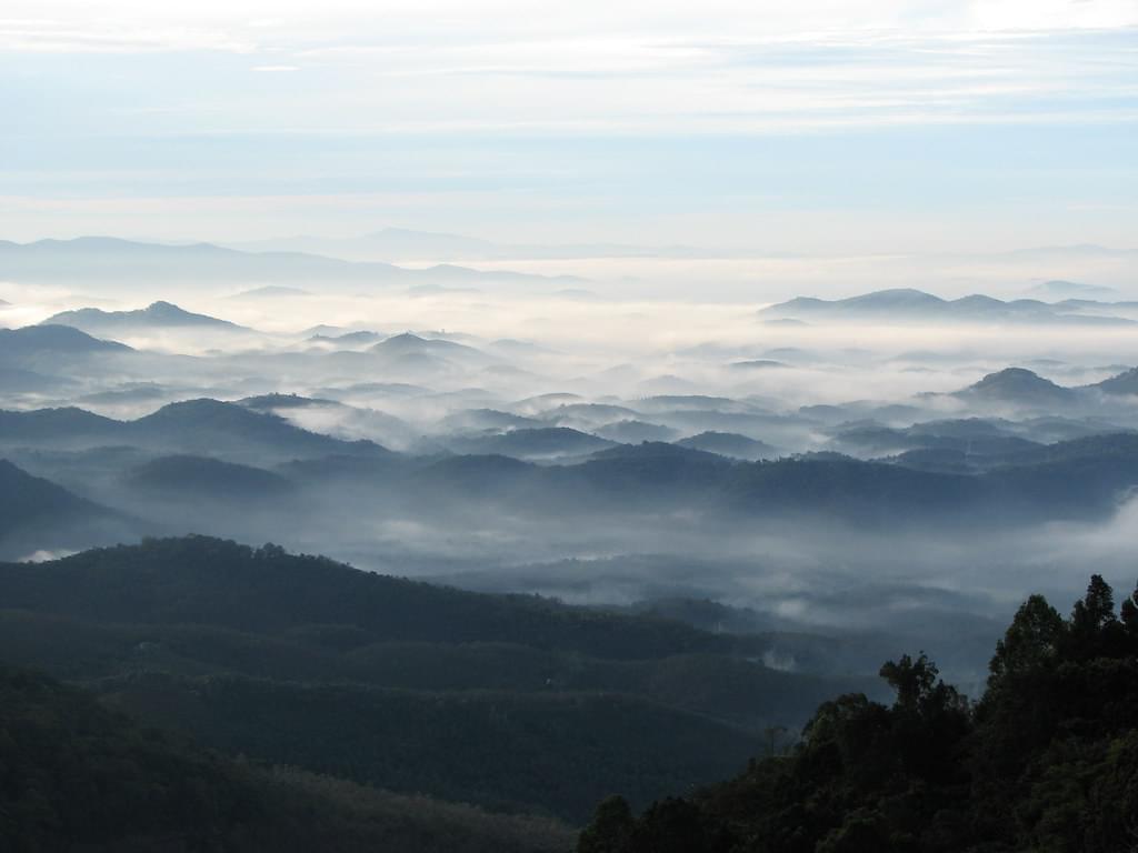 Wayanad Hill View