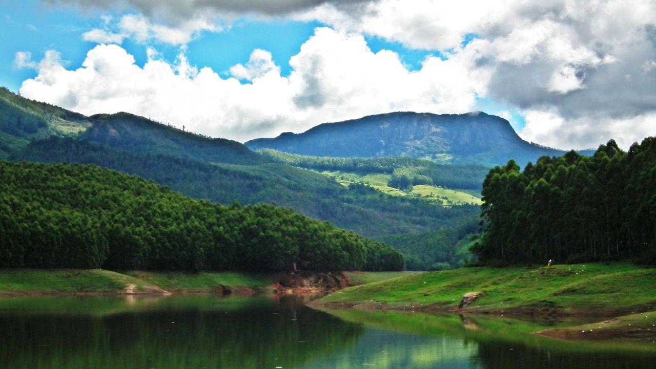 Eco Point Munnar