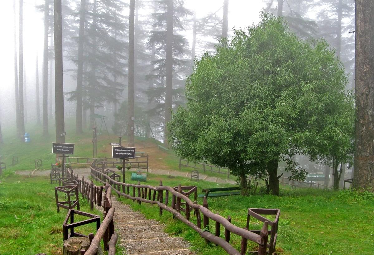 Eco Park Dhanaulti