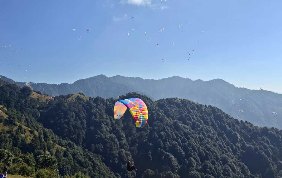 Paragliding at Bir
