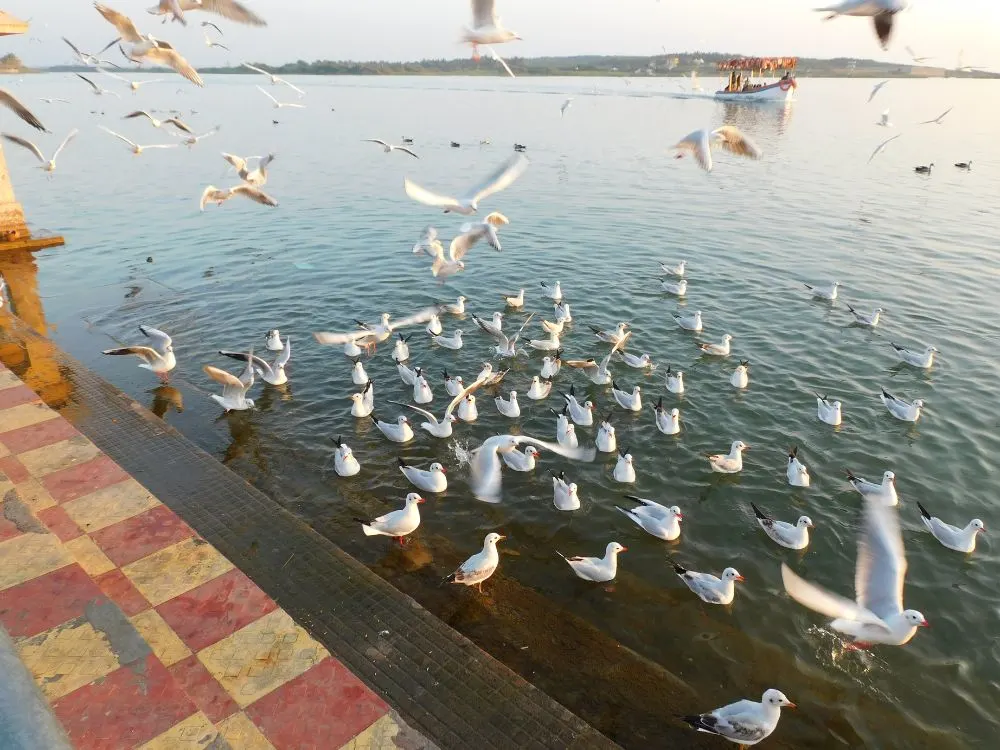 Triveni Ghat Sangam