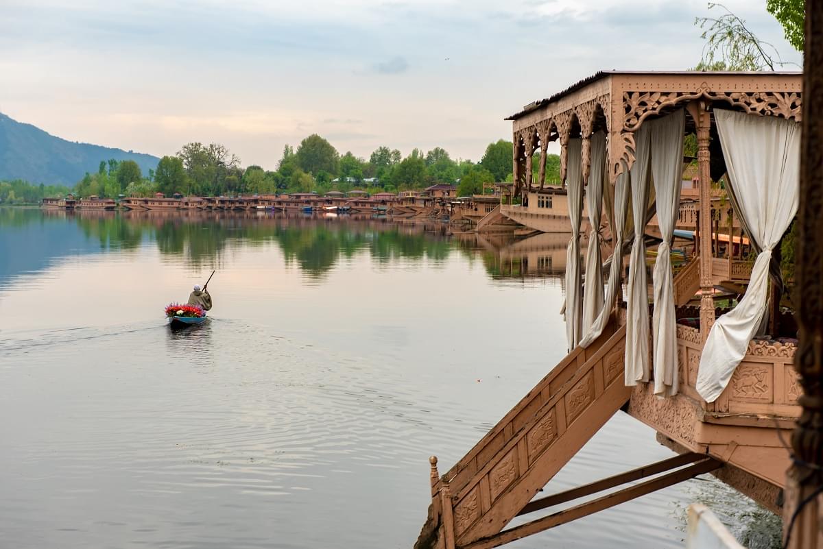 Shikara Boats