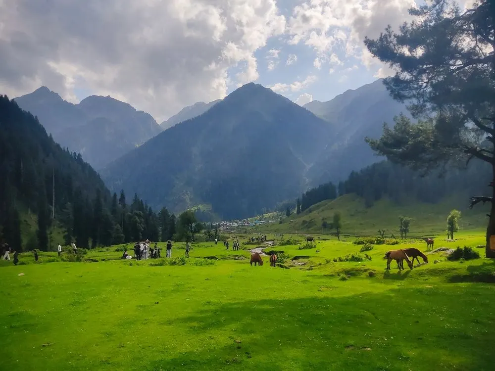 4-nights-5-days-kashmir-tour-package-JustWravel-1750081523-aRU-VALLEY.webp
