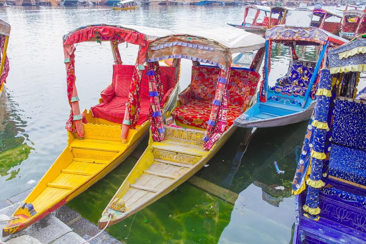 Shikara Boats