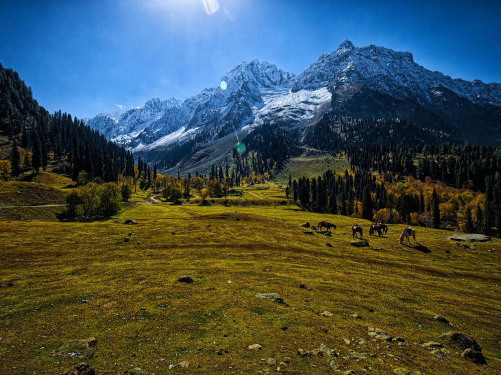 Sonamarg