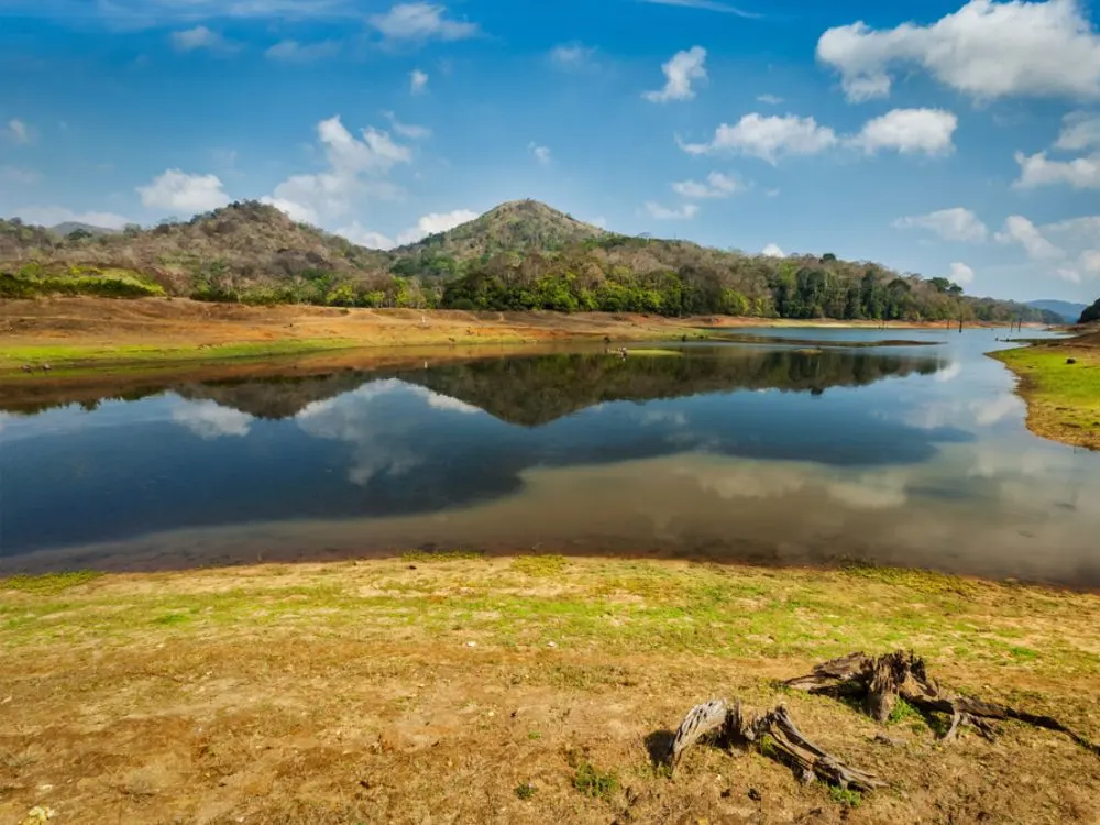 Periyar National Park