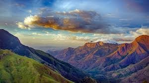 4-nights-5-days-munnar-ooty-coimbatore-tour-package-JustWravel-1728363572-Munnar-2.jpg