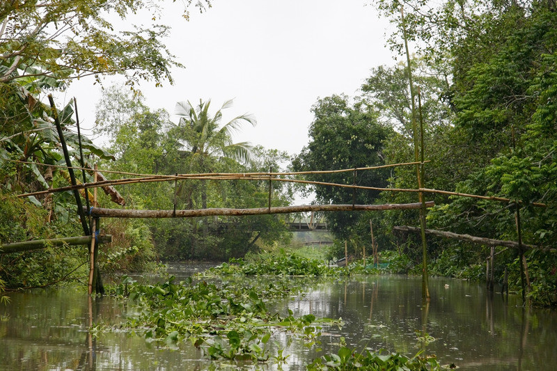 Monkey Bridge