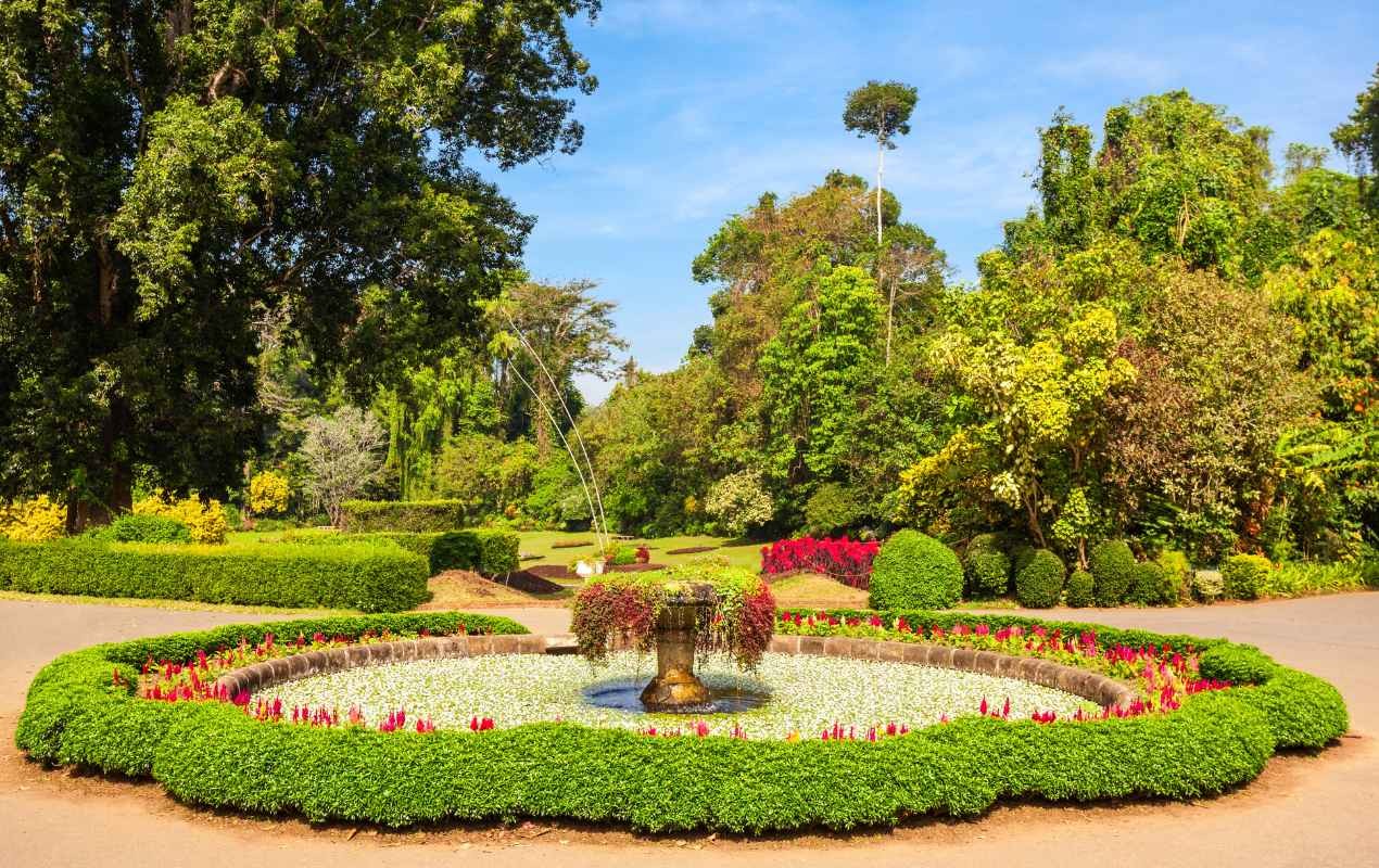 The vibrant Peradeniya Royal Botanic Gardens, Kandy.