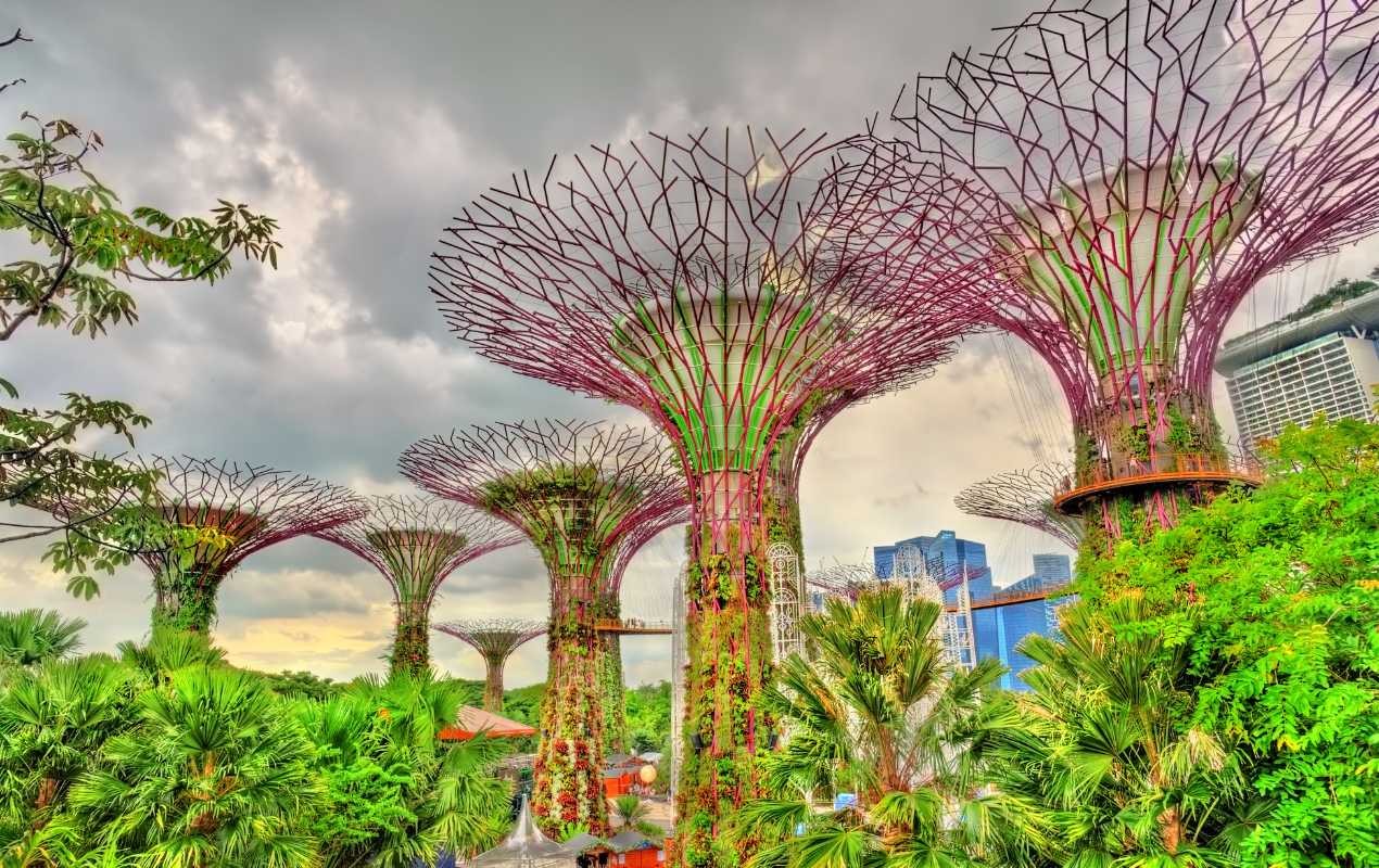 The Super Tree Groves at Gardens by the Bay, Singapore.