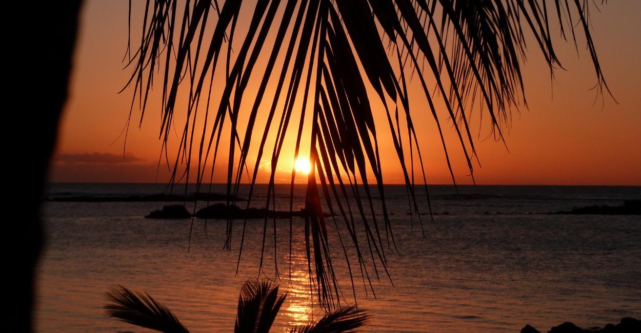 Mauritius Honeymoon