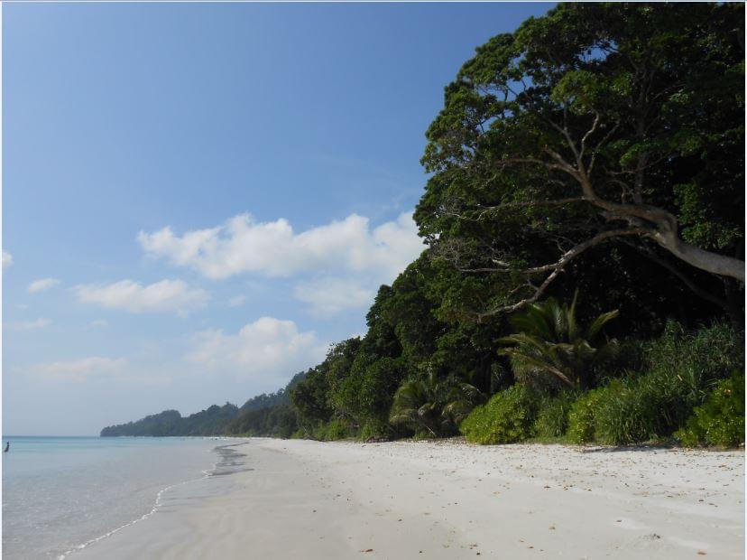 Radhanagar Beach Havelock Island