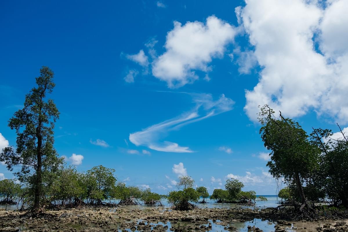 Havelock Island