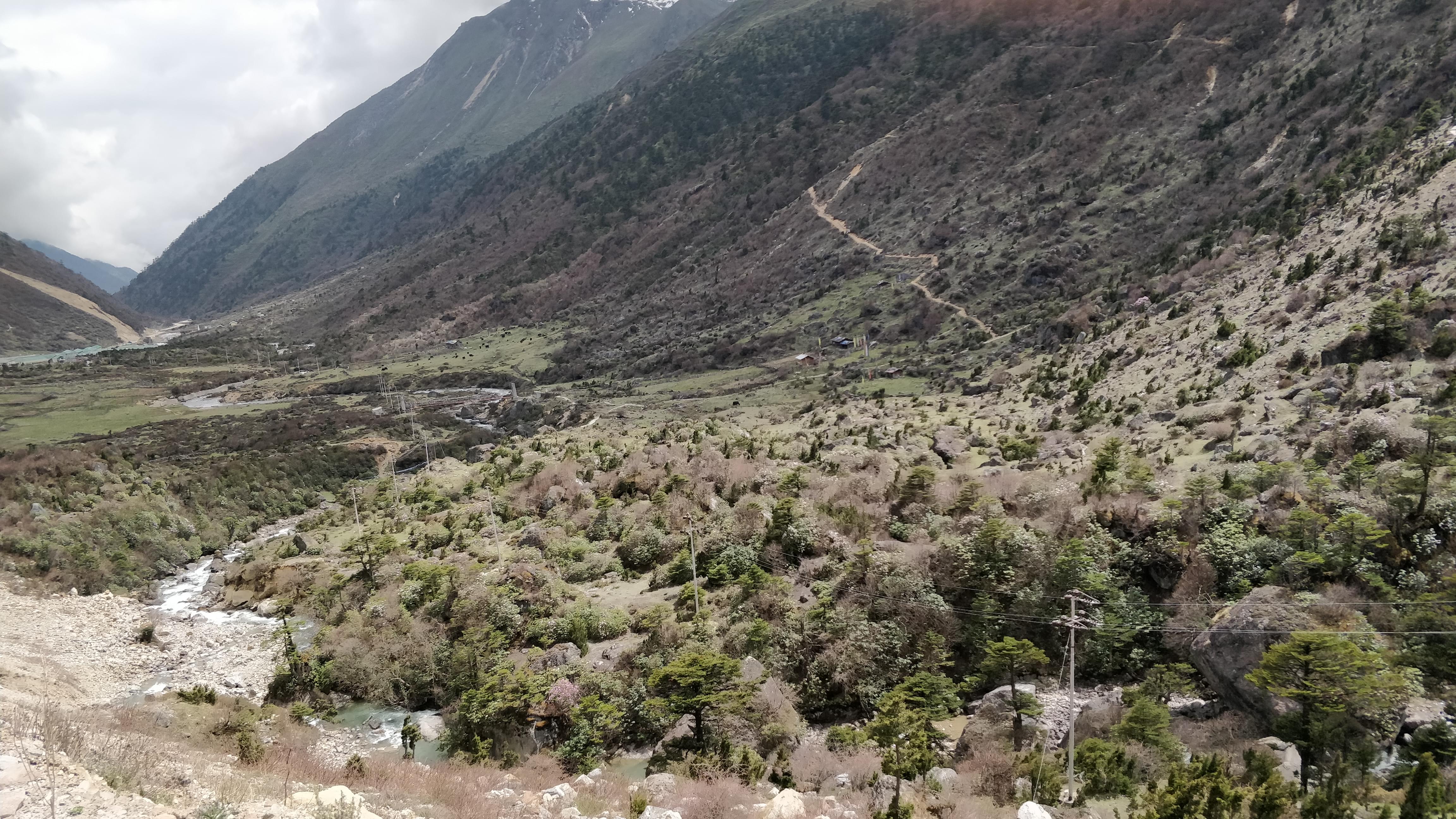 Chopta Valley in Sikkim