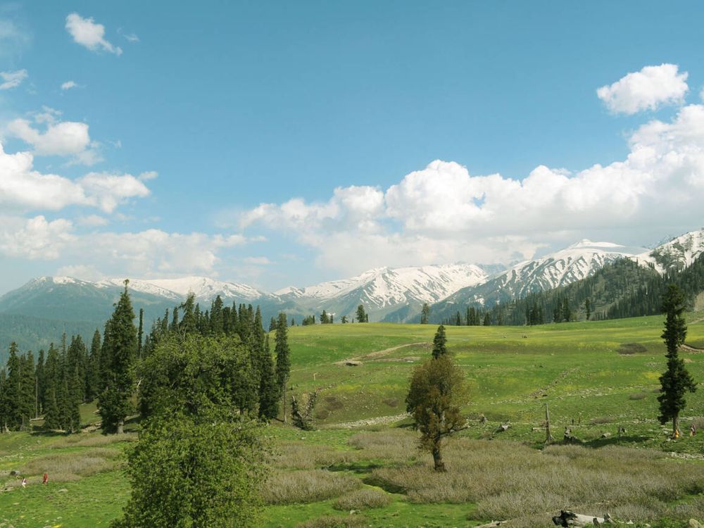 Gulmarg