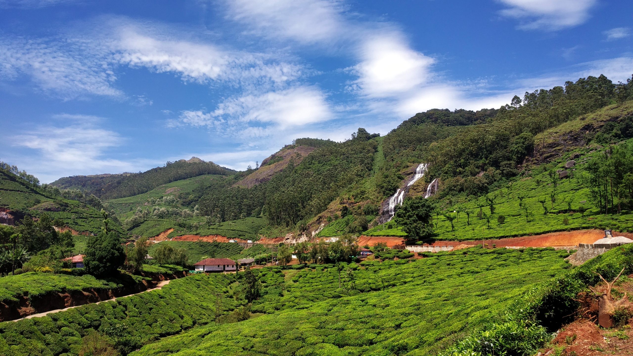 5-nights-6-days-ooty-munnar-kodaikanal-tour-package-JustWravel-1728362964-Nature-Landscape-Munnar-Gap-Road-38901-pixahive.jpg