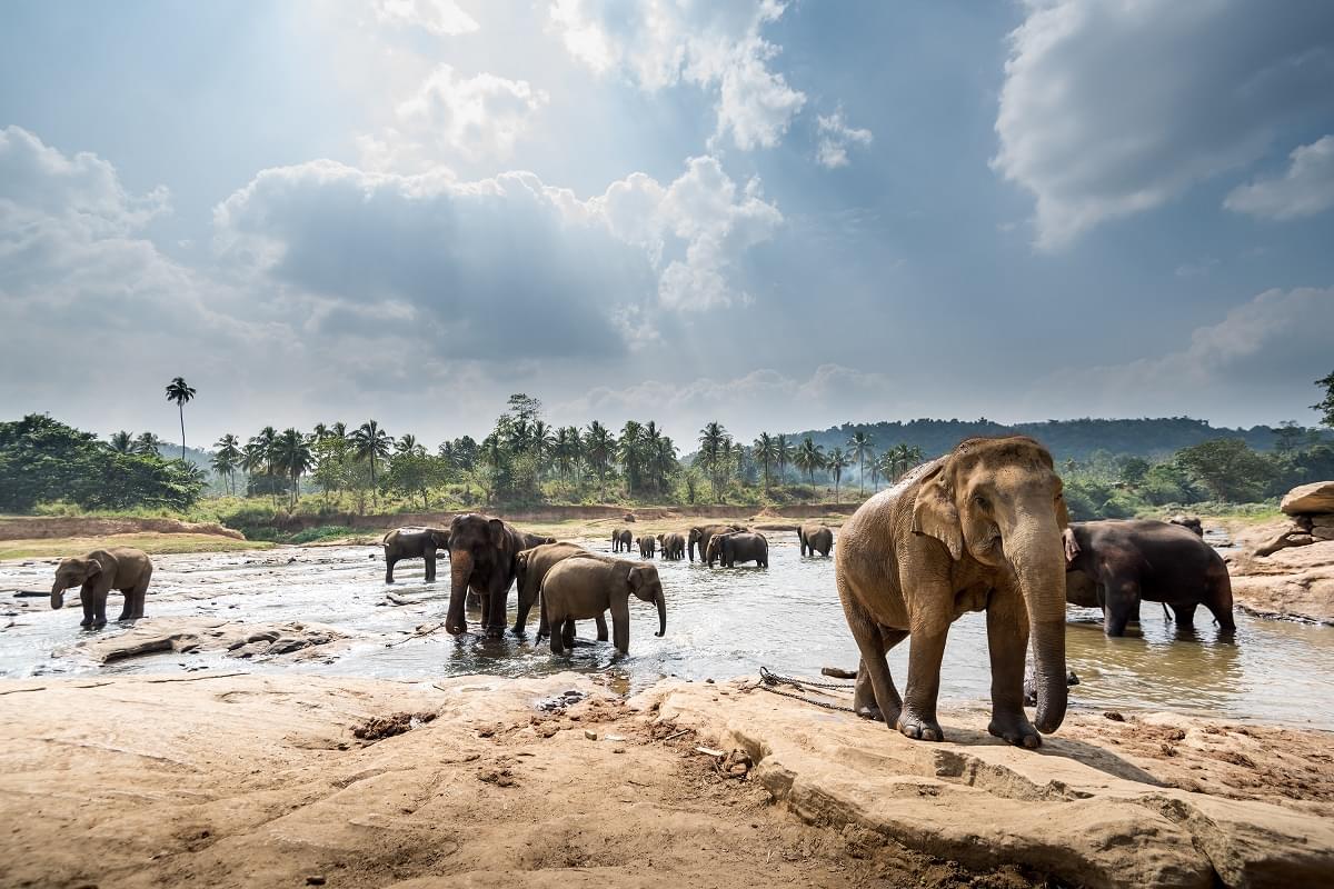 Sri Lanka