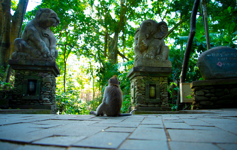 Ubud Monkey Forest