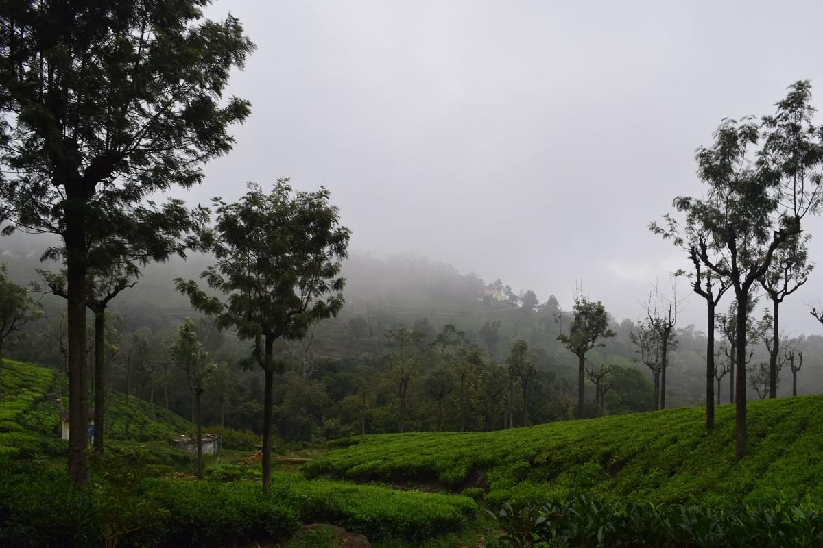  Coonoor