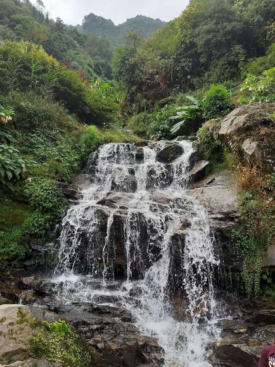 Tea Garden Covered Mountain 