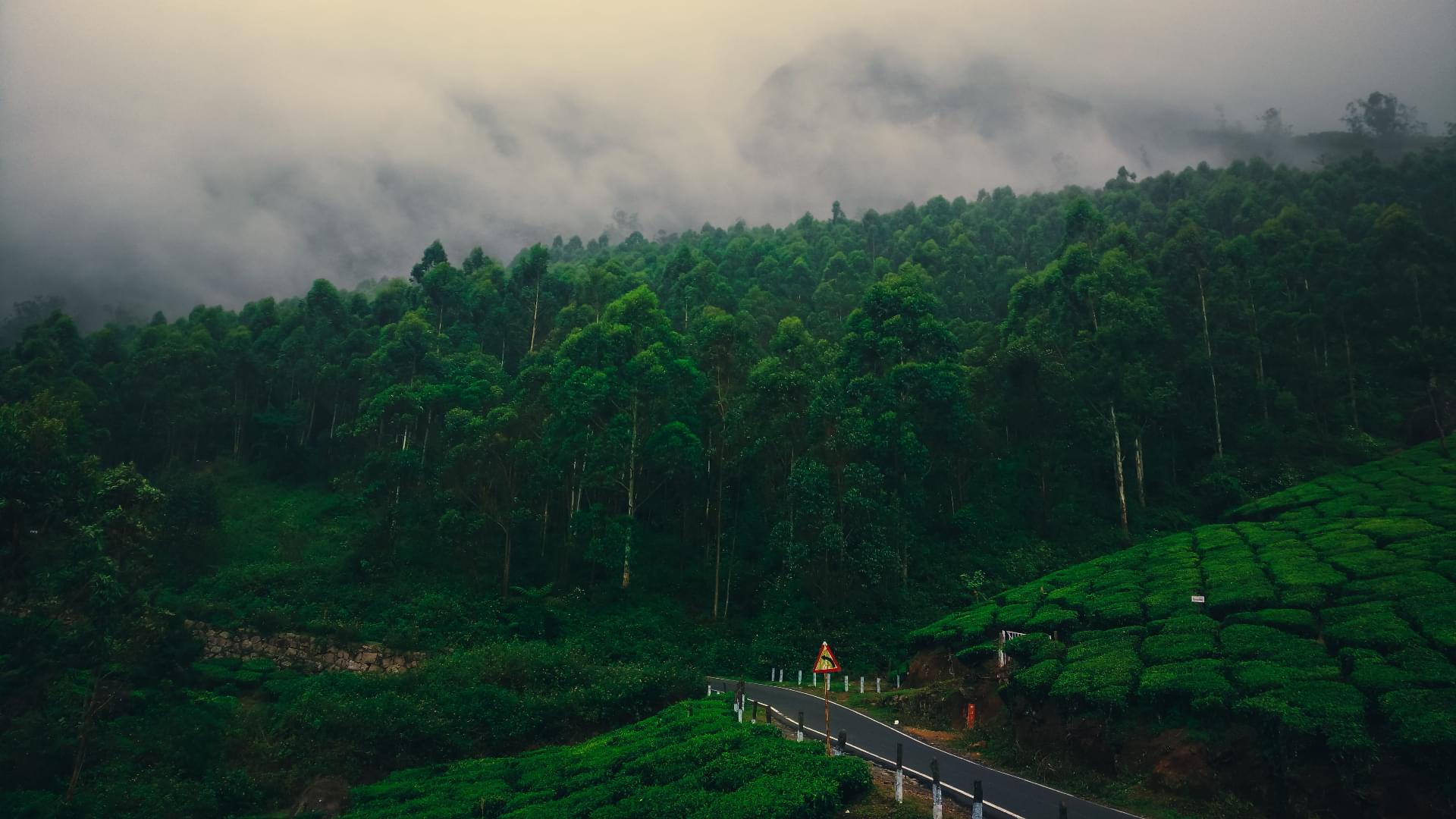 Munnar