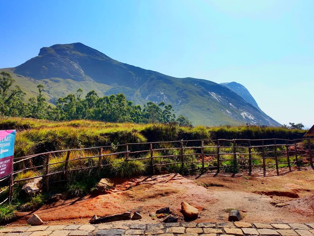 Eravikulam National Park