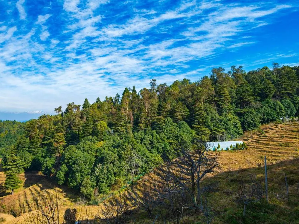 Ranikhet