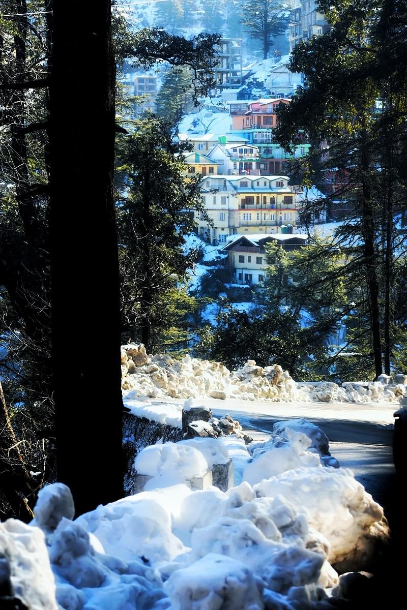 Shimla