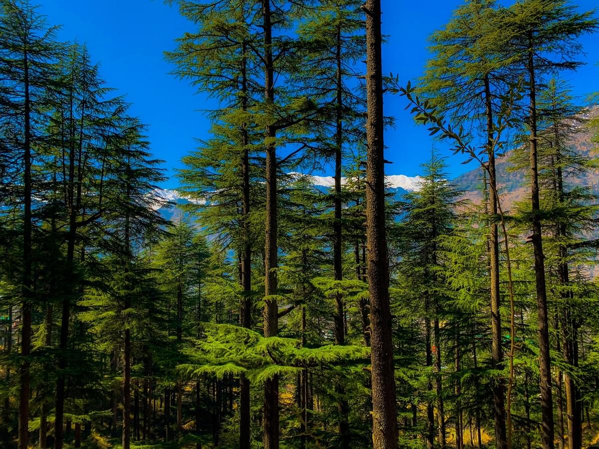 Nature Park Manali