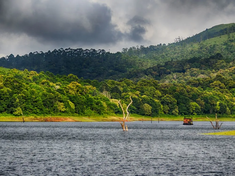 Thekkady lake or Periyar lake