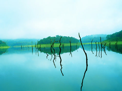 THekkady Lake