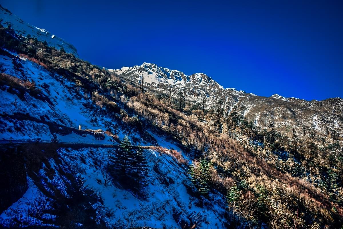 Lachung Mountain & forest