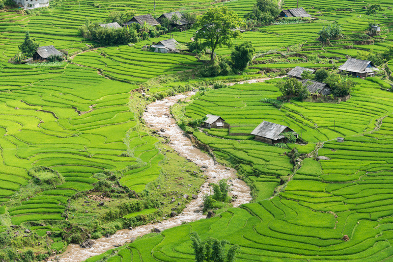 Tra Van Rice Terraces