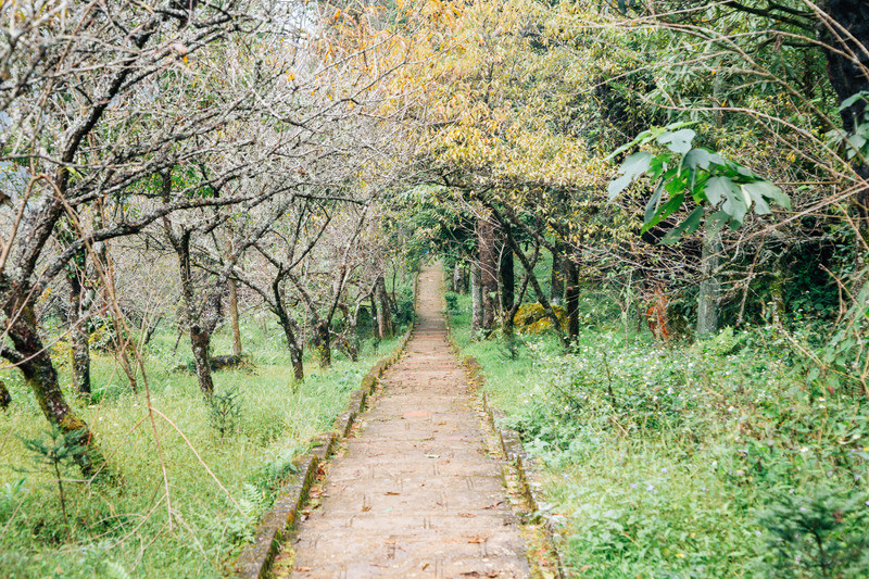 Ham Rong Hiking Trail