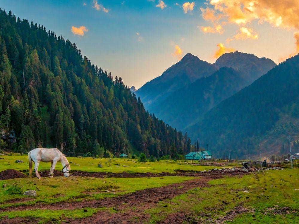 Aru valley