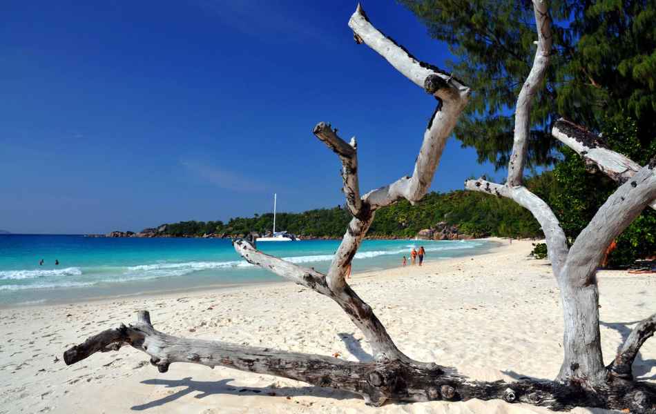 Snorkeling at St Pierre Island, Seychelles