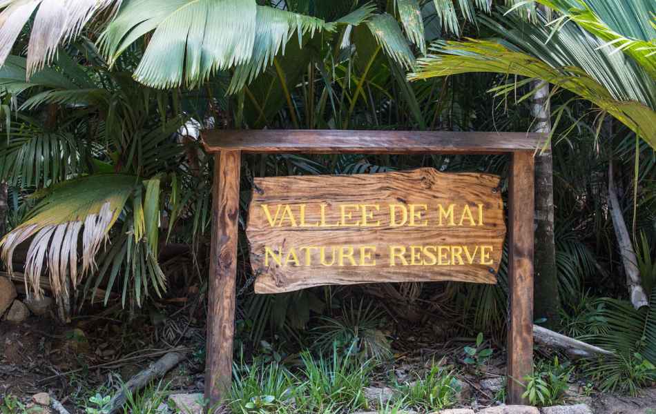 Vallee de Mai Nature Reserve, Praslin Island, Seychelles