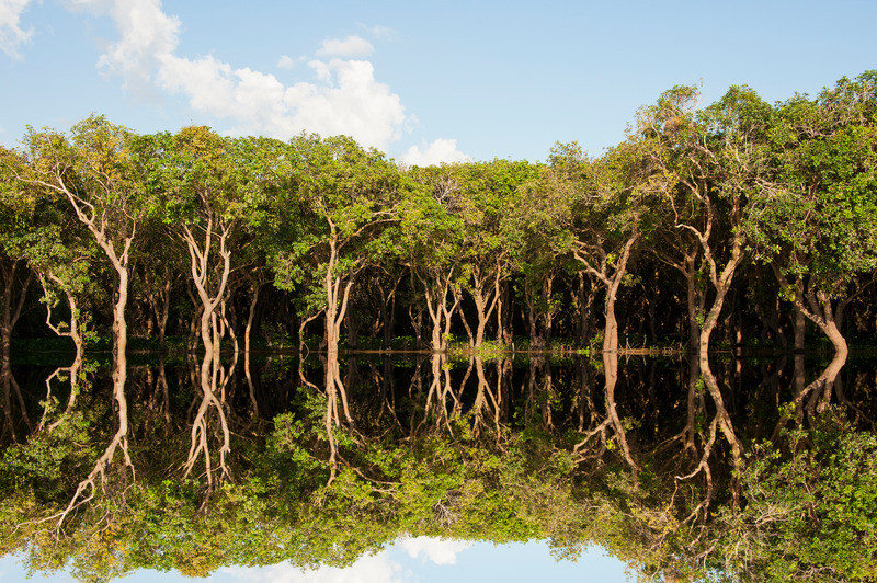 Tonle Sap Lake